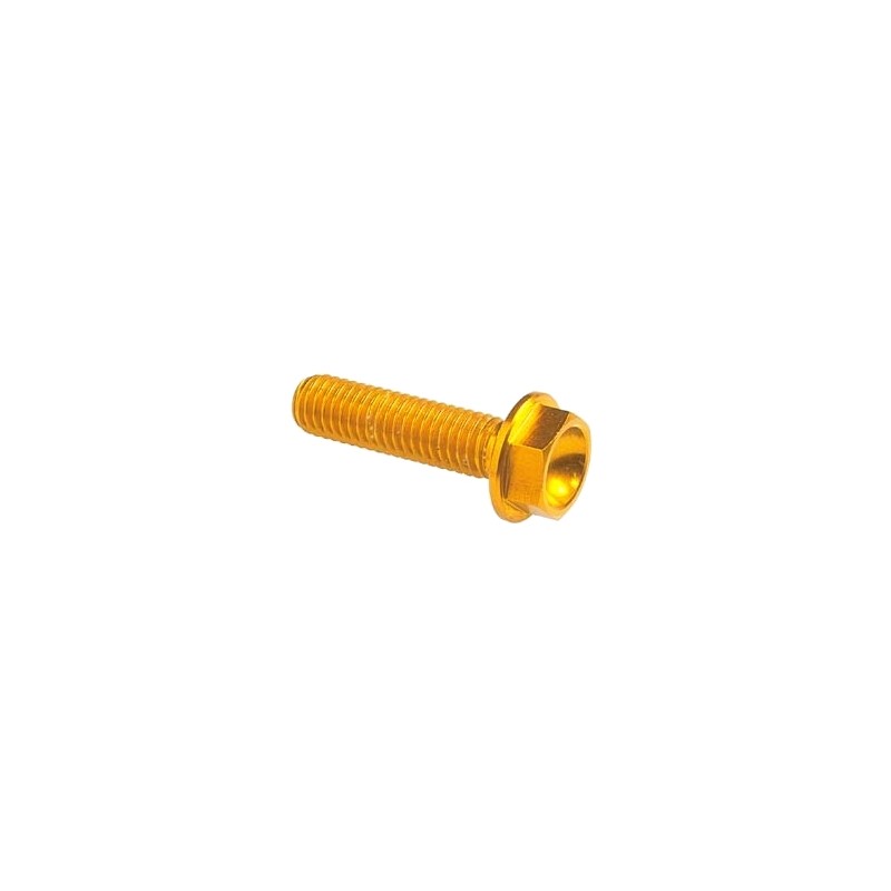 Lightech Hexagonal Head Ergal Cl 004 M5 L. 30 Gold 004M5030ORO