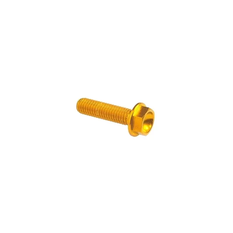 Lightech Hexagonal Head Ergal Cl 004 M6 L. 55 Gold 004M6055ORO