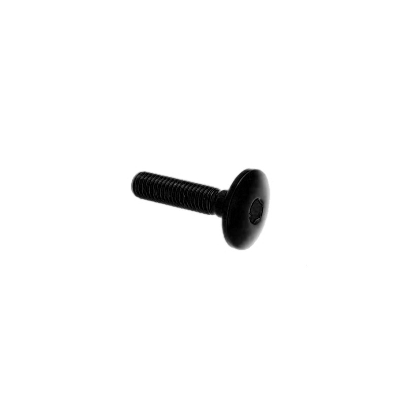 Lightech Button Head Ergal Cl 003 M5 L. 30 Head Ø14  Ergal (7075 T6) GlossyBlack 003M5030NER