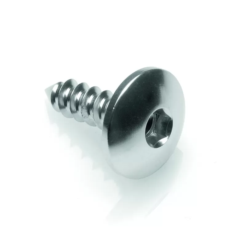 Lightech Self Tapping Screw 003 D5,5x19 Ergal Silver PAC35519SIL